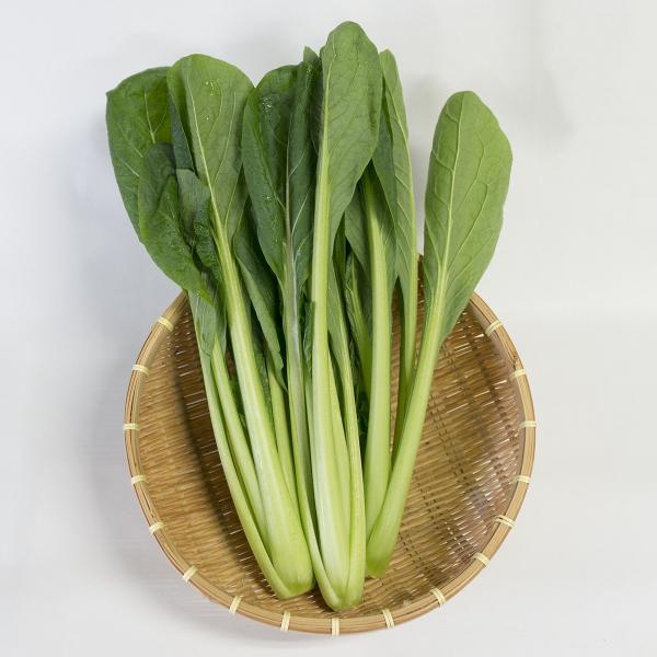 宮城県 菜の花村の減農薬栽培こまつな 0ｇ Buyee Buyee Japanese Proxy Service Buy From Japan Bot Online