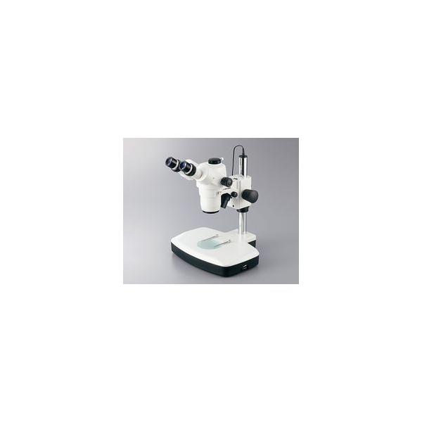 LEDY[̌@O@7.5`50× (1) 񂹏i