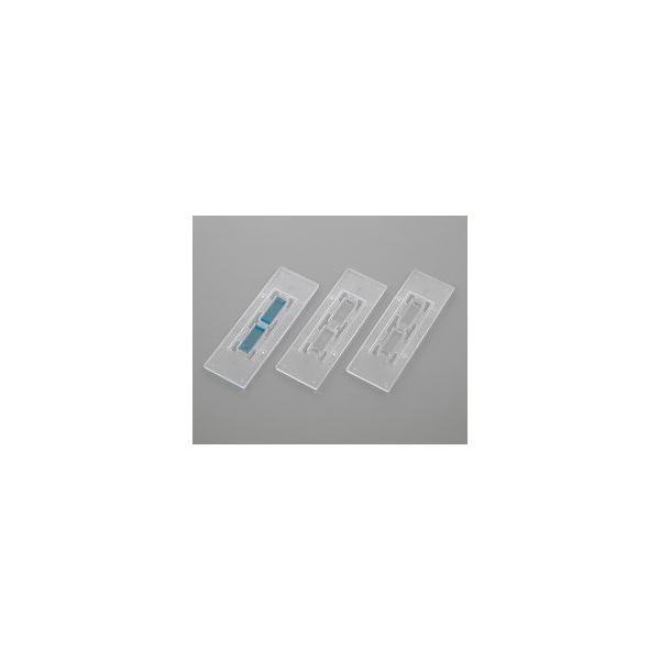 fBX|זEvZՁ@ǃmCoEG^ (1(50)) 񂹏i