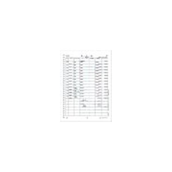 弥生 弥生 A4元帳ページプリンタ用紙3行明細 334002 1000枚 (帳簿