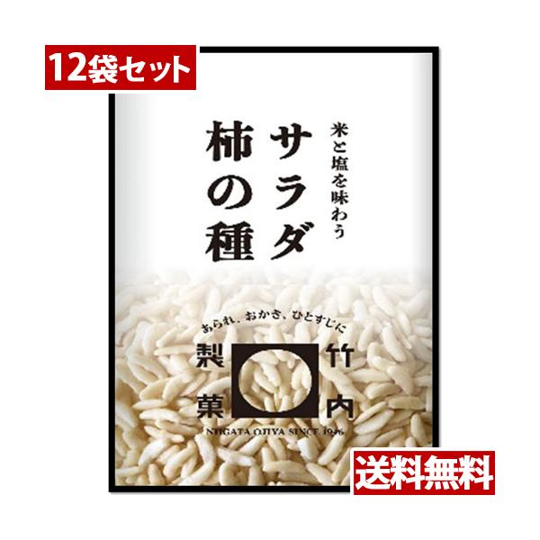 竹内製菓　サラダ柿の種 230ｇ ×12袋セット 取り寄せ商品