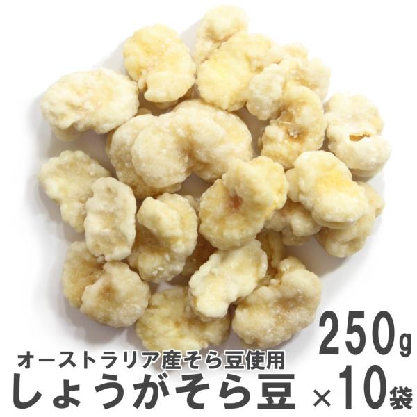 傤瓤 250g×10 P[X̔ 앗̃`F[ I[XgAY瓤gp