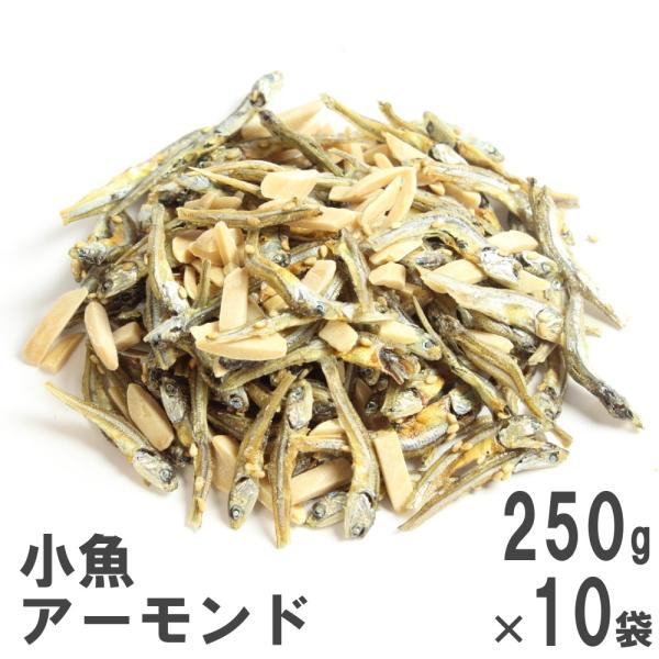 肱A[h 250g×10 앗 P[X̔ A[htBbV A[h Y CV ϊ  ܂