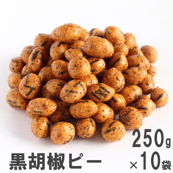 Ӟs[250g×10 앗 P[X̔ XpCV[ubNybp[