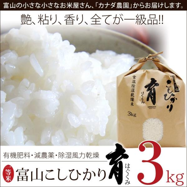 コシヒカリ 新米 令和6年度産 こしひかり 富山県産 3kg 普通米 コシヒカリ 新米 令和6年度産 こしひかり 富山県産 3kg 普通米