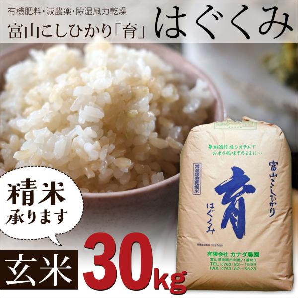 コシヒカリ 新米 令和6年度産 こしひかり 玄米 富山県産 30kg コシヒカリ 新米 令和6年度産 こしひかり 玄米 富山県産 30kg