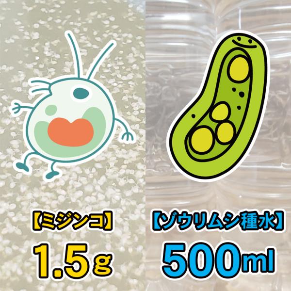 nanyo-marche_set2