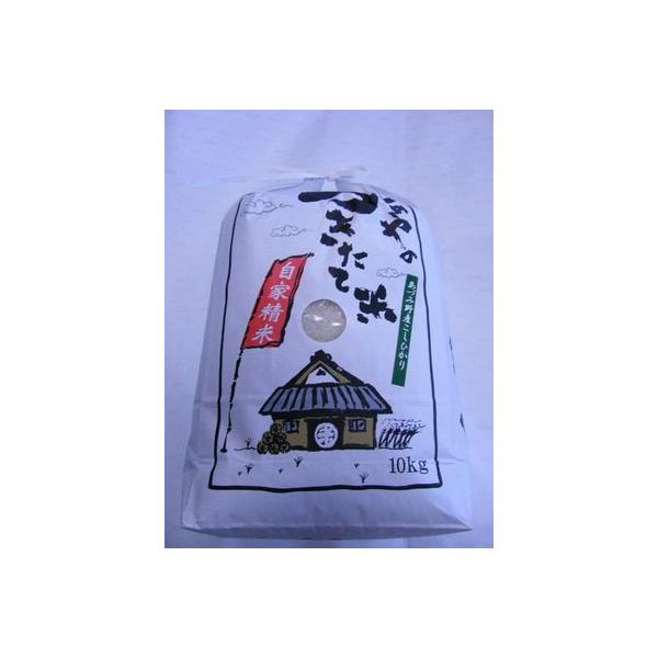 長野県産 コシヒカリ 10kg」の人気商品一覧 | 安い商品を通販