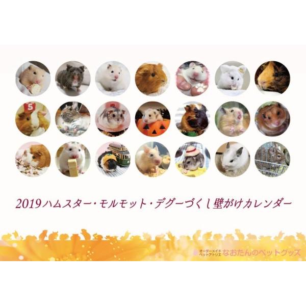 最も欲しかった ハムスター 顔文字 0044 ハムスター 顔文字