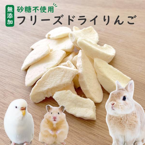 りんごオッケー 砂糖不使用】小動物用フリーズドライりんご 20g 1袋約16枚入り