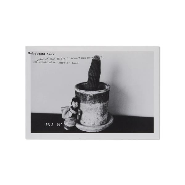 荒木経惟 KAORI THROUGH THE LOOKING GLASS by Nobuyoshi Araki : 奈良