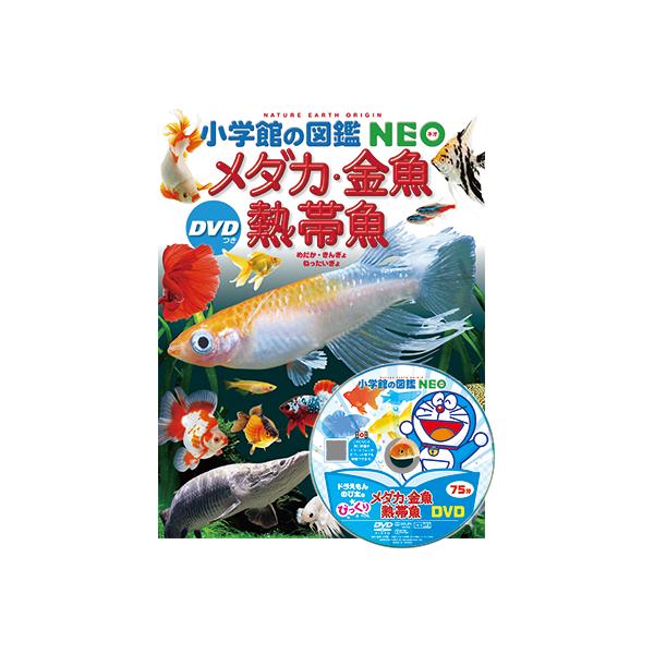 「家で飼える魚」を大特集！この一冊で飼育マスターに！スマホやタブレットから見られる動画で、いろいろな飼育テクニックを学べます。さらに特典DVD（約75分）つき。じつは「魚の飼育は、身近な科学の入り口」。中学受験でも、メダカや魚の飼育について...