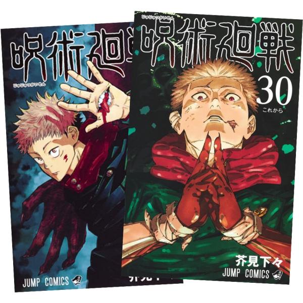 集英社 呪術廻戦1~30巻 通常版 完結 全巻セット 全巻新品 : 奈良