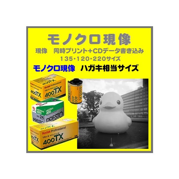 Kodak フィルム モノクロ」の人気商品一覧 | 安い商品を通販
