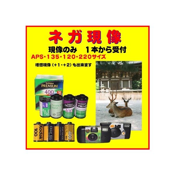 lKtB@lK@etih@@Kodak@`fe`@@@1{t