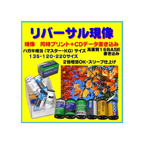 リバーサルフィルム　リバーサル現像　　同時プリント　ハガキサイズ＋ＣＤデータ書き込み　　ＦＵＪＩＣＨＲＯＭＥ　　スリーブ仕上げ　1本から受付
