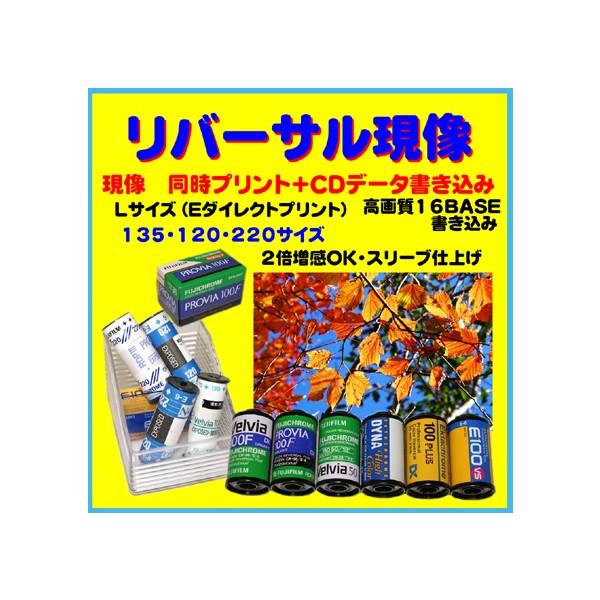 Velvia220 リバーサルフイルム1箱5本入りを2箱計10本 リバーサルフィルム」の人気商品一覧 | 安い商品を通販サイト