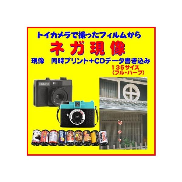 lKtB@gCJ@lK@vg{bcf[^݁@etih@Kodak@1{t