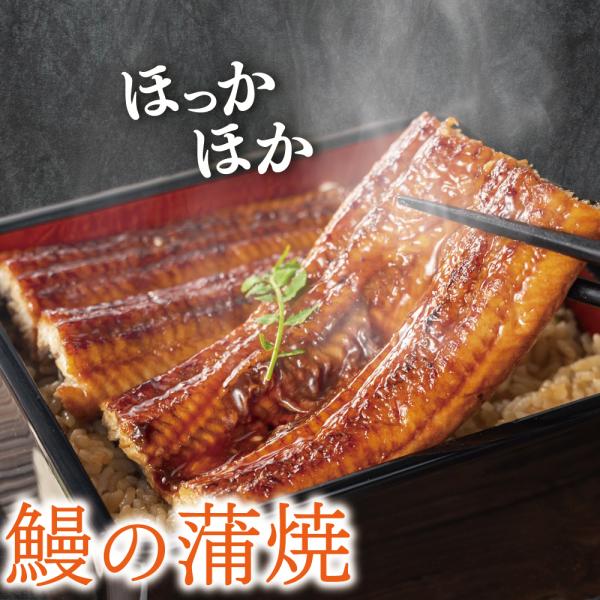 鰻の蒲焼き 2kg(100g×20) うなぎ 訳あり 刻み うなぎ カット 蒲焼 刻み ウナギ たっぷり 鰻 刻み鰻 かば焼き