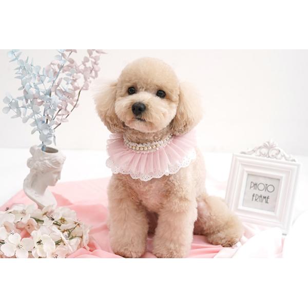 Lovely Cape 犬 首輪 おしゃれ 可愛い レース バンダナ アクセサリー 中型犬 お揃い ペット用品 小型犬 犬服 ドッグウェア 限定価格セール ケープ お出かけ