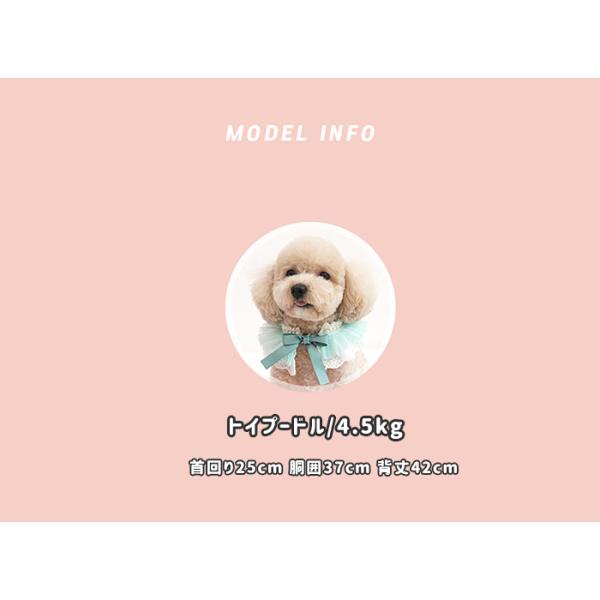 Lovely Cape 犬 首輪 おしゃれ 可愛い レース バンダナ アクセサリー 中型犬 お揃い ペット用品 小型犬 犬服 ドッグウェア 限定価格セール ケープ お出かけ