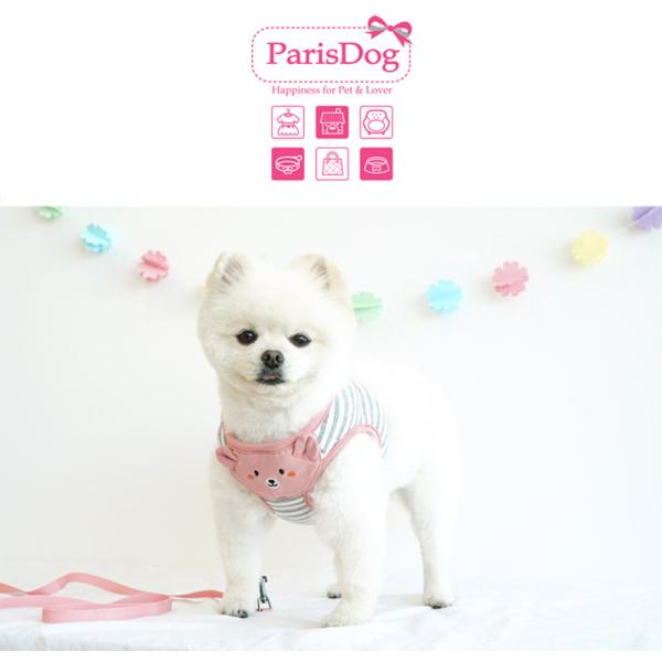 メール便可】 クマちゃん ハーネスリードセット ペット用品 小型犬