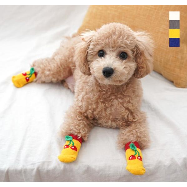 メール便可 犬 犬用 靴下 滑り止め 犬 ソックス 滑り防止 脱げない 防寒 ペット 可愛い靴下 綿100 犬服 ペット用品 ドッグウェア 犬用靴下 So2 Naripet 通販 Yahoo ショッピング