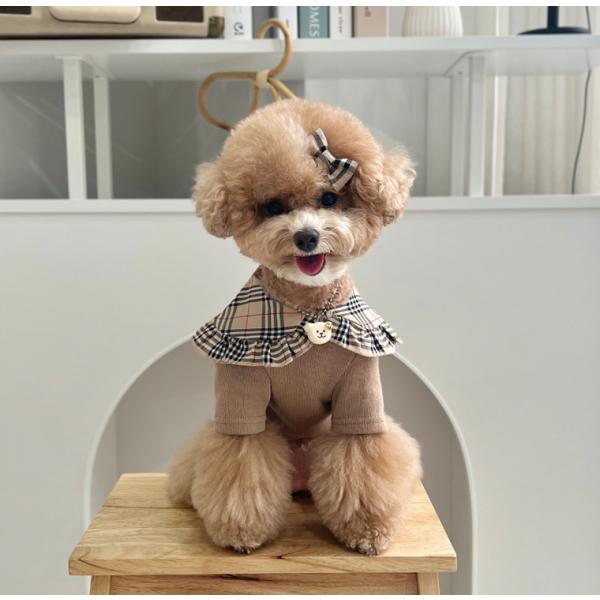 nari-pet_top139