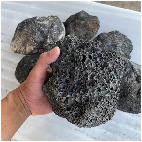 火山岩 溶岩石 ボルカブラック 10kg アクアリウム ロックガーデン 庭石