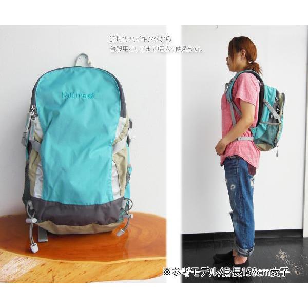 Lafuma ラフマ Hiking Day ハイキングデイ ユニセックス メンズ レディス バックパック ザック デイパック リュック Buyee Buyee 日本の通販商品 オークションの代理入札 代理購入