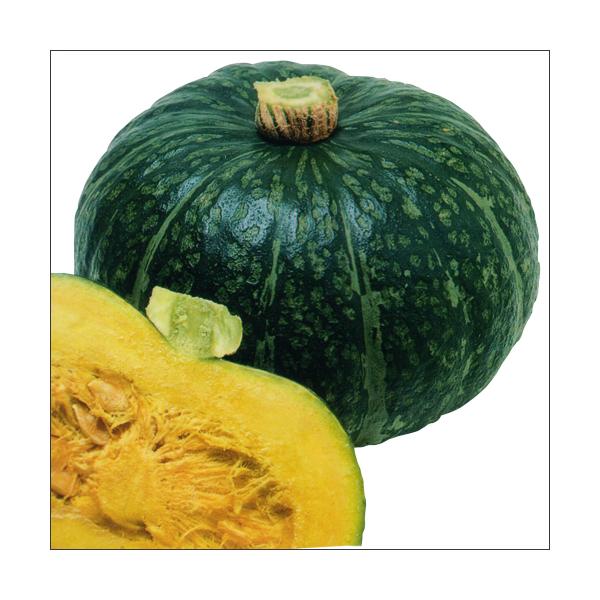 有機栽培かぼちゃ、果皮は濃緑地に美しい淡緑色のちらし斑が入り、外観が新鮮で、果肉は濃黄色で厚く、肉質は粘質がかった粉質で食味良好です。商品内容:有機栽培かぼちゃ内容量:10kg箱入り（5〜8玉位）こちらは【同梱不可商品】となります。お米等と...