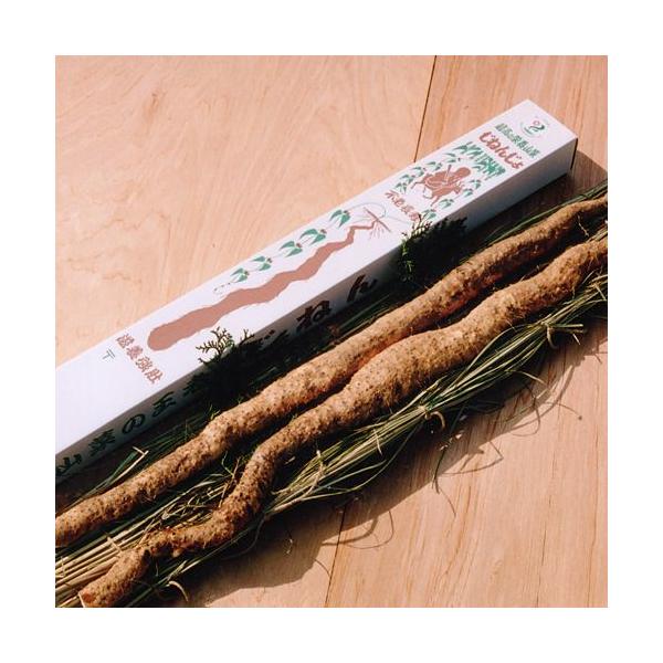 山菜の王者【自然薯(山芋)：大サイズ】 : 那須自然農園 - 通販 - Yahoo