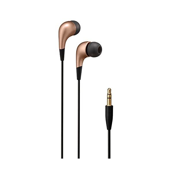 他サイト： JVCケンウッド JVC HA-FX6-T カナル型イヤホン 軽量・コンパクトボディ ブラウンの商品画像