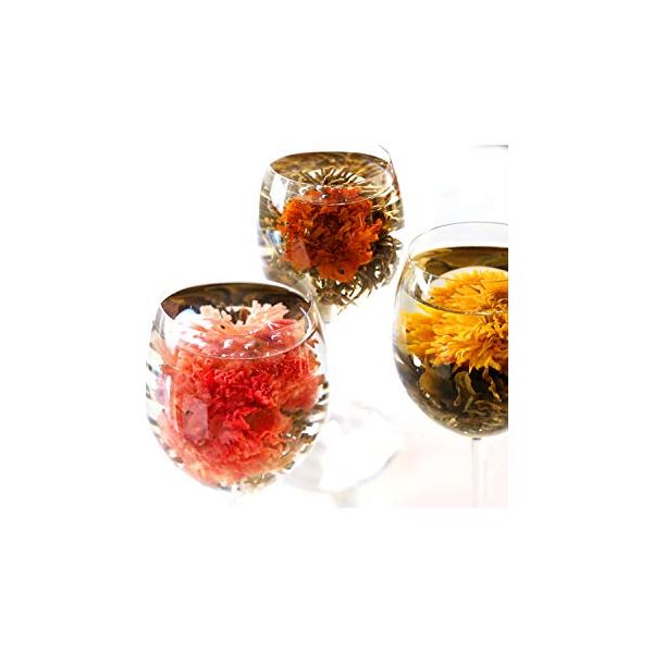 工芸茶東方美人茉莉花と菊花