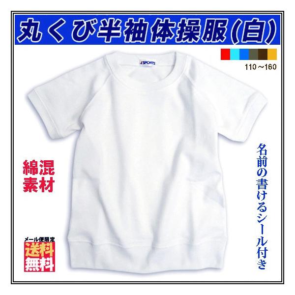 ̑  ێ LbY WjA  n ȍ O l[^Ot jp XN[TVc ̑ (110`170)