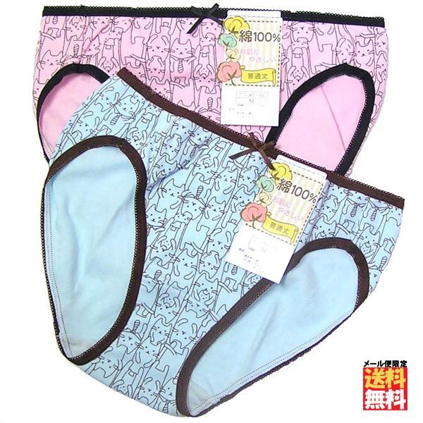 ショーツレディース 綿100 2枚セット スタンダード パンツ 30代 40代 かわいい プリント柄 ネコ満員 パンティ Snt Jtm4 12 5 インショップ ナタリー号 通販 Yahoo ショッピング