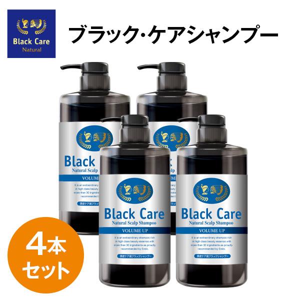 ブラックケアシャンプー 600ｍl 4本セット ヘアケア 美容液 リンス不要 シャンプー(SH00005-BC-NN-0400)