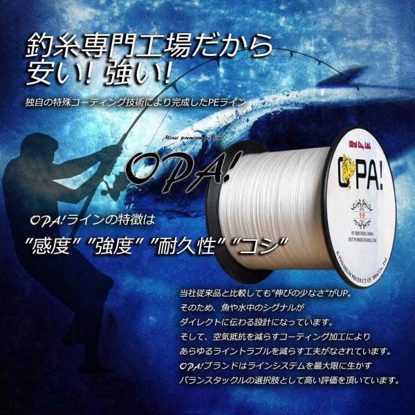 Peライン 釣り糸 単色 300m 釣り道具 0 4号 0 6号 0 8号 1号 1 5号 2号 2 5号 3号 ホワイト 青物 Buyee Buyee Japanese Proxy Service Buy From Japan Bot Online