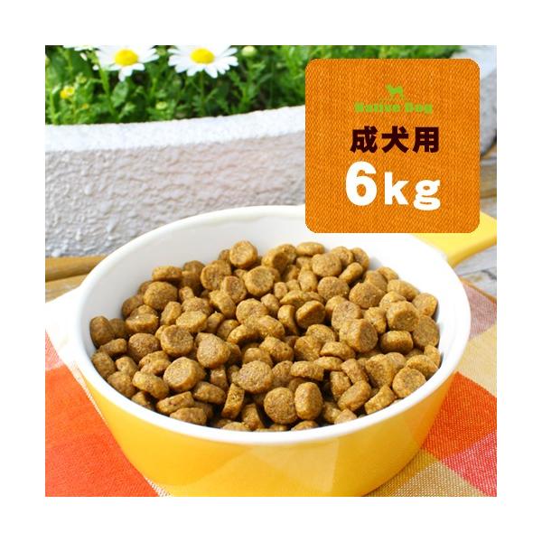 総合栄養食 ドッグフード・鶏肉（チキン）主原料・小麦不使用・グルテンフリー 「Native Dog」「NativeDog」