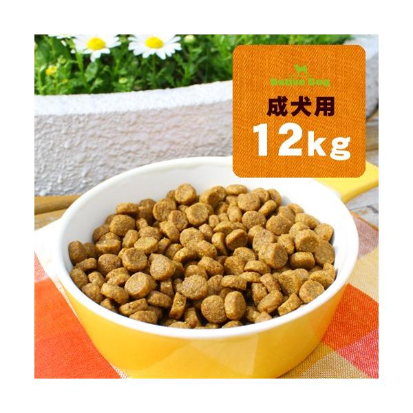 ネイティブドッグ プレミアムチキン 成犬用 12kg（3kg×4） 送料無料／北海道・沖縄は送料別 :10017:ネイティブドッグ店  通販 