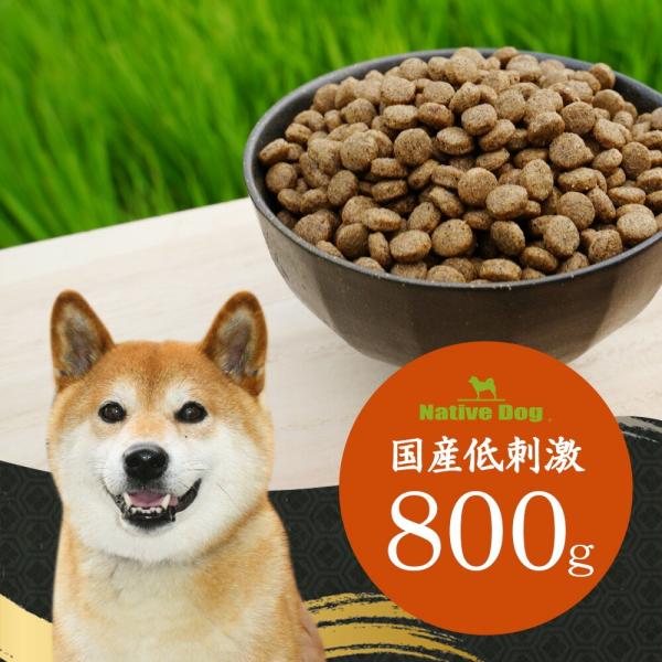 Native Dog 低アレルゲン ドッグフード シニアフィット ネイティブドッグ 国産 低刺激 ドッグフード 800g 「アレルギー