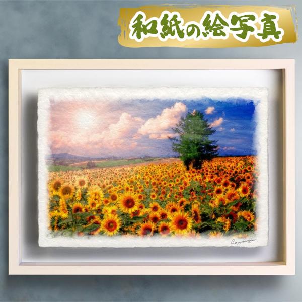 natum_r-frame-62x44-hmwr-krmt-hi