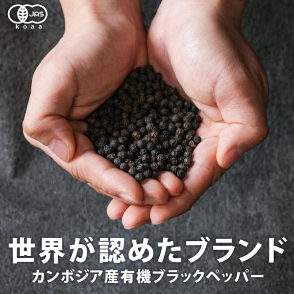 5%OFFクーポン カンポットペッパー ブラックペッパー ホール 70g 黒胡椒 有機JAS認証 カンボジア産 こしょう コショウ クメール種 ポイント消化