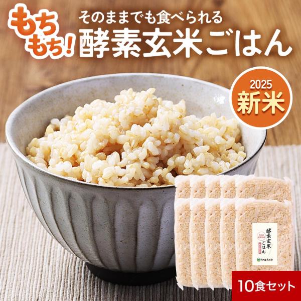 酵素玄米ごはん 170g 10食 パックご飯 国産 鹿児島県産 コシヒカリ玄米 5日間低温熟成 農薬不使用 無添加 常温 非常食 さつま天然堂 ポイント10倍