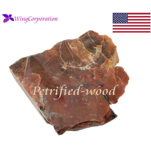 アリゾナ州産】ペトリファイドウッド（Petrified Wood）珪化木 原石 約