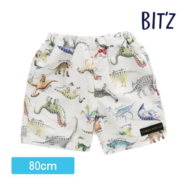 BIT'Z(ビッツ)の水着・ビーチアイテム「恐竜図鑑総柄トランクス水着_UVカット」は、POPでカラフルなデザインが人気！夏のスイムアイテムもBIT'Zのキャラクターの世界観を楽しもう！■素材グログランポリエステル100%■サイズ80cm ...
