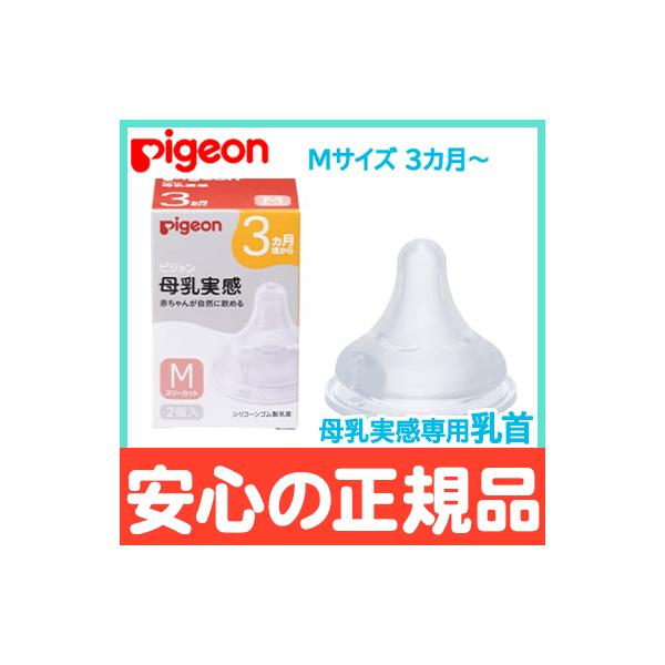 sW  p 3` MTCY 2 pigeon  ֓