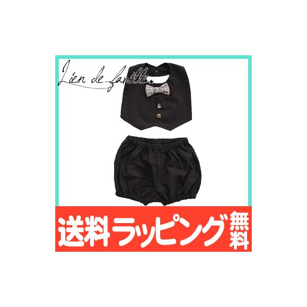 lien de famille ht@~[ j̎q tH[}X^Cu} 2_Zbg ubN  ł X^C