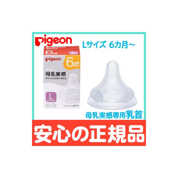 sW  p 6` LTCY 2 pigeon  ֓