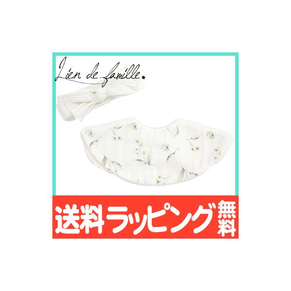 lien de famille ht@~[ ԌtV[Y X^C  wAohZbg ݑ CG[ {  tH[}X^C